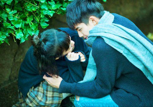 百合花产业 带动农民增收